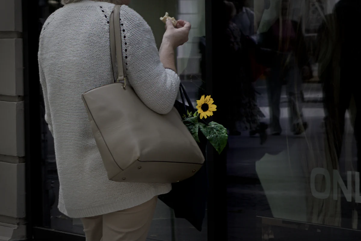 Sunflower on the Street